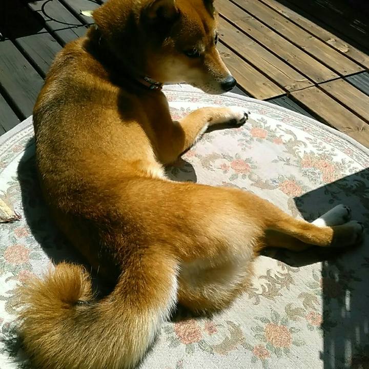 06f8af36 8cd8 4062 b3b7 d75c1063d49e 1528863509180