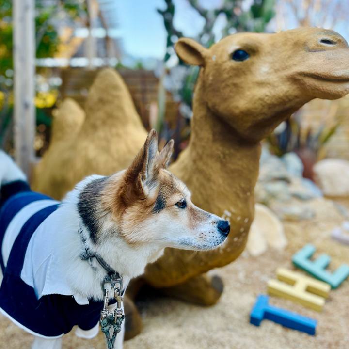 06f8b790 ad69 4f73 a589 1748c16a5f2b 1765967383921