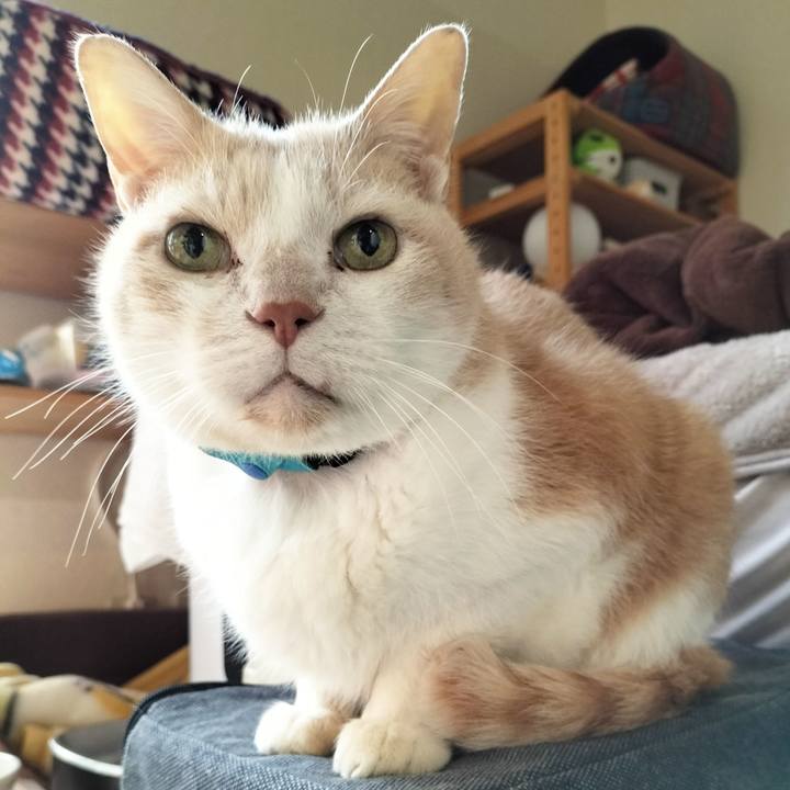 06f8c80a 8dbf 4935 b8eb e562f8922f7d 1675895933071