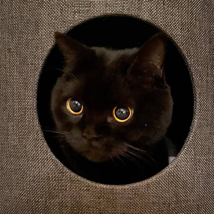 06f8d51a 3138 43eb be7f 8cf9fcb9b310 1768305580287