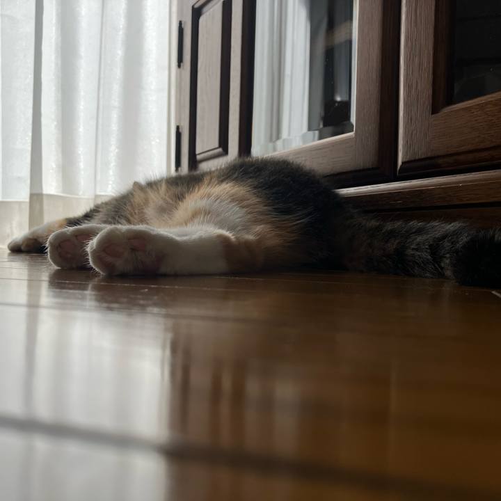 06f8dc74 38ac 43dc 99d7 7221d85957f0 1759031063809