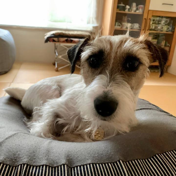 06f8e1e1 8883 4ae6 91dd 3184a958e650 1625011338442