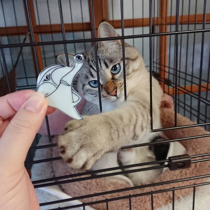 06f9409d 0e4a 44aa a357 438f24e56c60 1581199943148