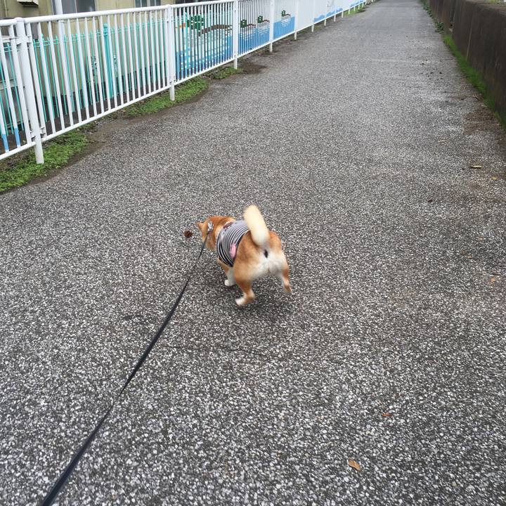 06f9537d 0950 41a5 a2b5 3bb68cce5349 1539399265153