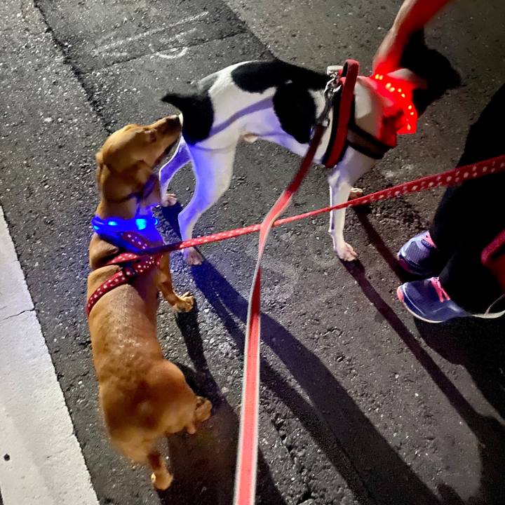 06f9625c beee 496c a194 a184f2ad1a3b 1597874696867