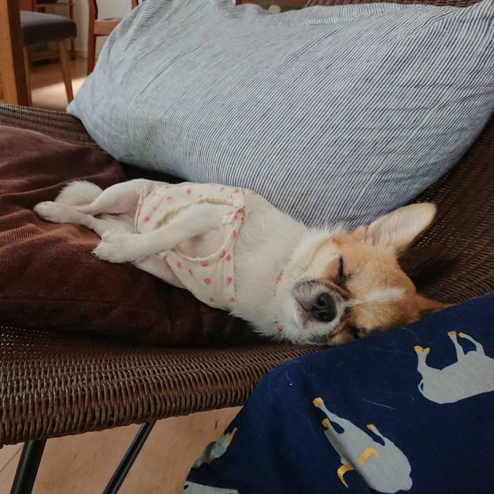 06f965bb 7bec 4a3c 8e05 50dc2d4a66e4 1531315388807