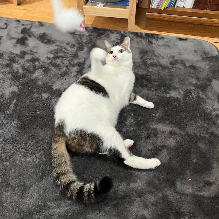 06f96d38 ddb4 48ee afab 6a616ac97f59 1645451671539