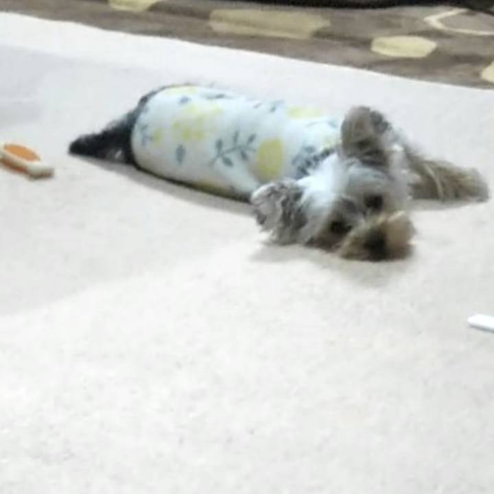 06f9a722 962b 4570 839f 9d30211751f0 1547638211563