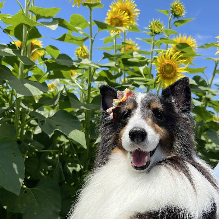 06f9f0b4 478c 4267 a834 c0e647013841 1658680665185