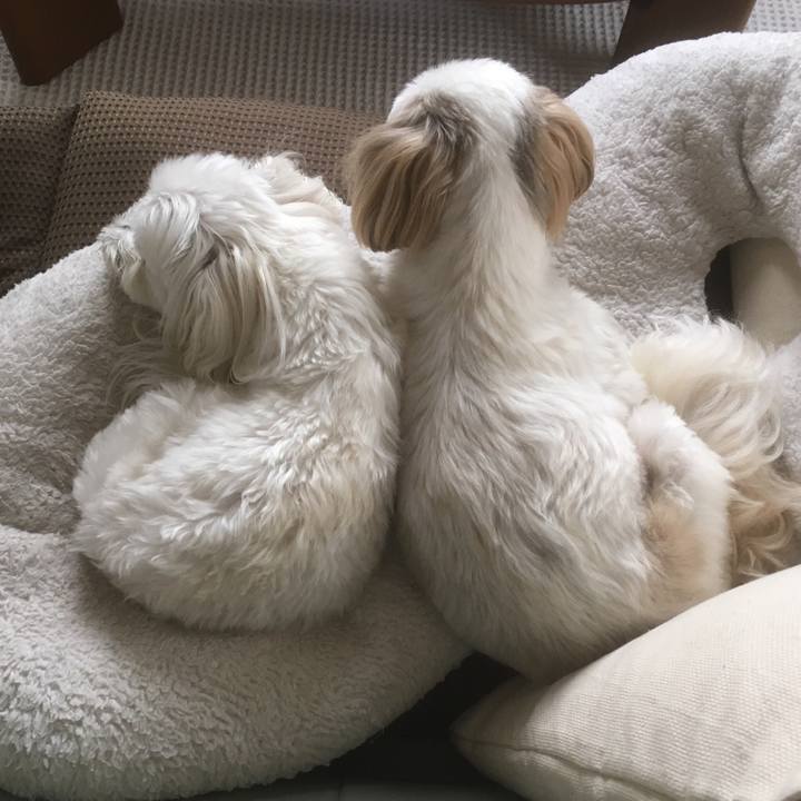 06f9ff1f 858a 4803 a09d 1b9ab6e67332 1529225806707