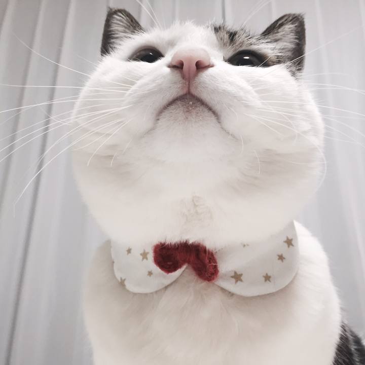 06fa0824 95b4 44d7 99c0 a0097fa20f84 1511916260596