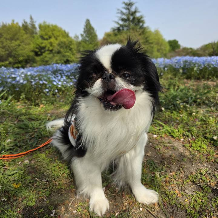 06fa17e7 d8c9 48b2 b2c3 49f07dc8a589 1745047480641