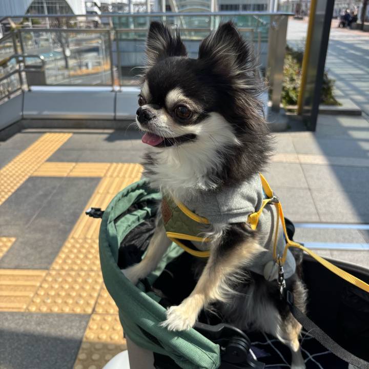 06fa74d3 378a 4a07 b781 1e2eb7fa2454 1742661570018