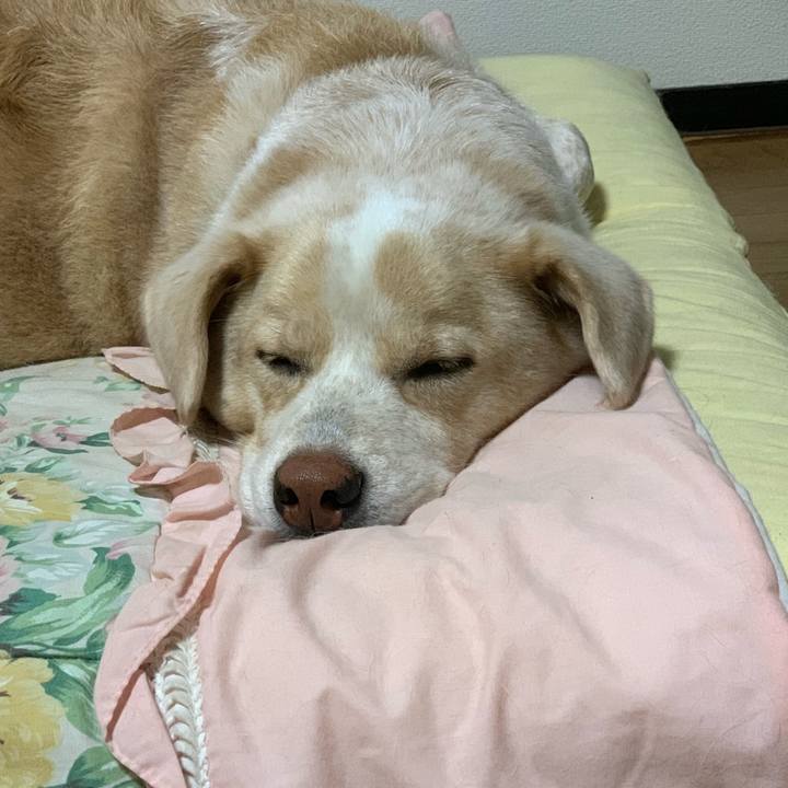 06faa9f4 1483 4ab0 b293 f18e34a6cd90 1563288213103