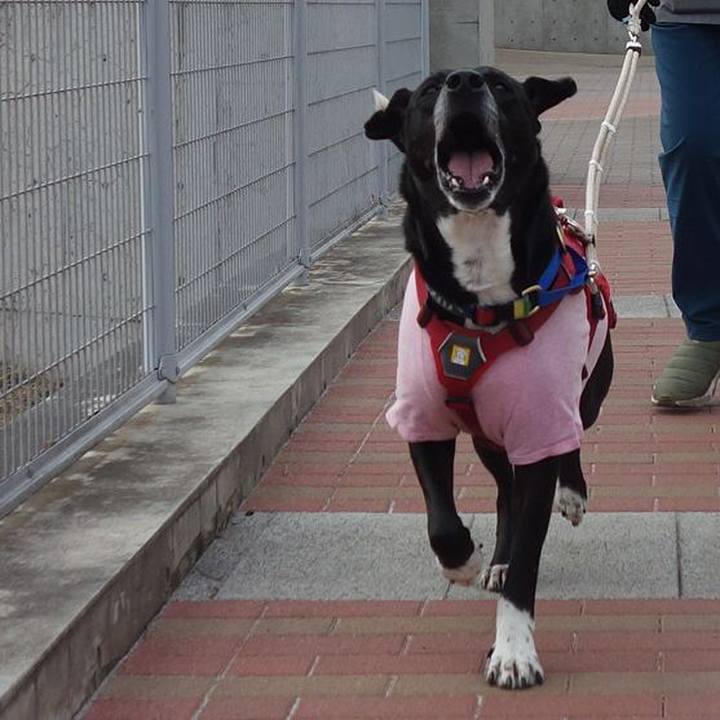 06fac578 5445 4a76 8e62 8b2f70678d89 1676767630405