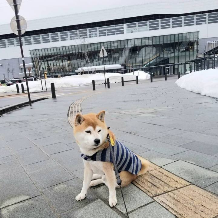 06faee8c 3024 4d67 a2aa 1b15924c20a3 1611464775936