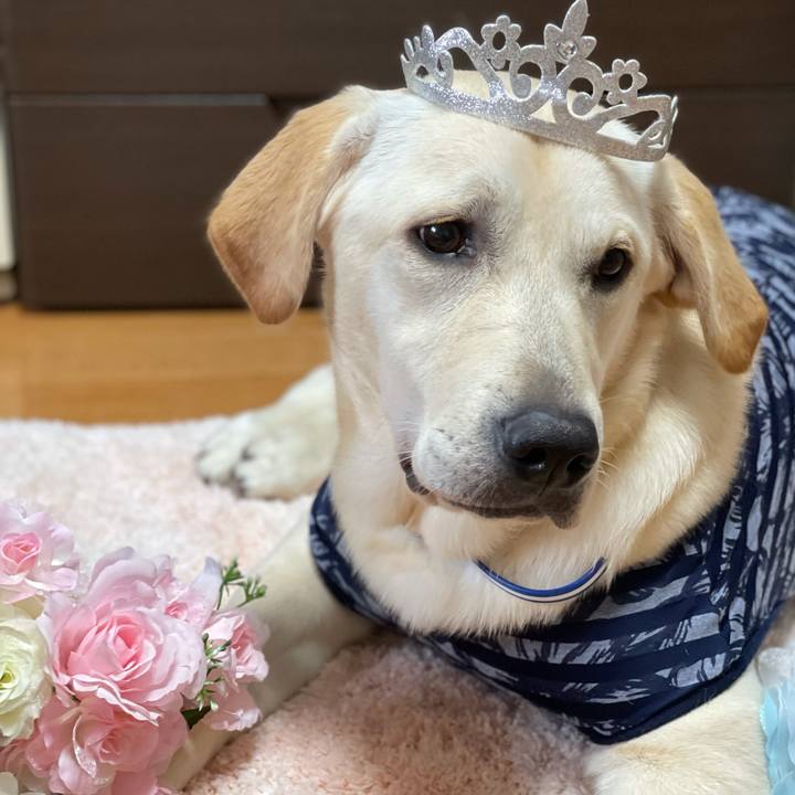 06faf4e1 cebb 42bf 9533 153e639e9097 1626695799553