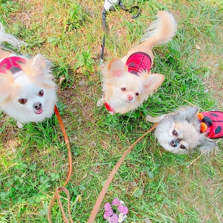 06faf8a7 3299 4dd8 b67c c34ea9dee498 1620795211295