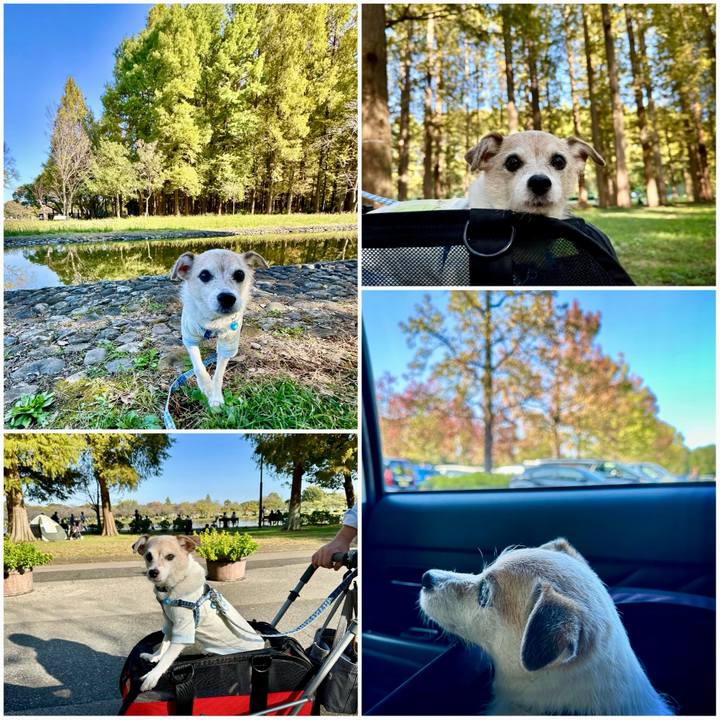 06fafdcb 2e59 45e4 879b d39aa7d86068 1730618449941