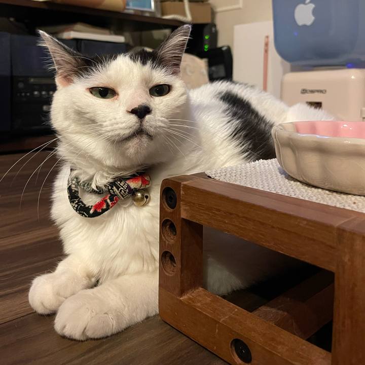 06fb043a 699f 4706 a9e5 c587491e1116 1718541969757