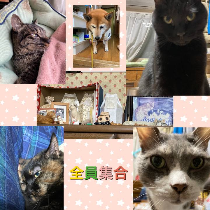 06fb113f 4985 4279 ab78 123ca3e83b91 1641084126671