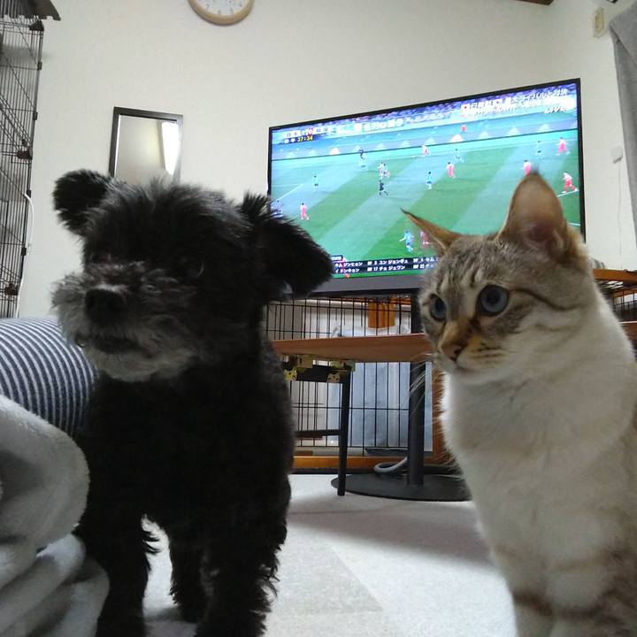 06fb35ae d561 4558 8b51 973c0471ae2e 1616670719171