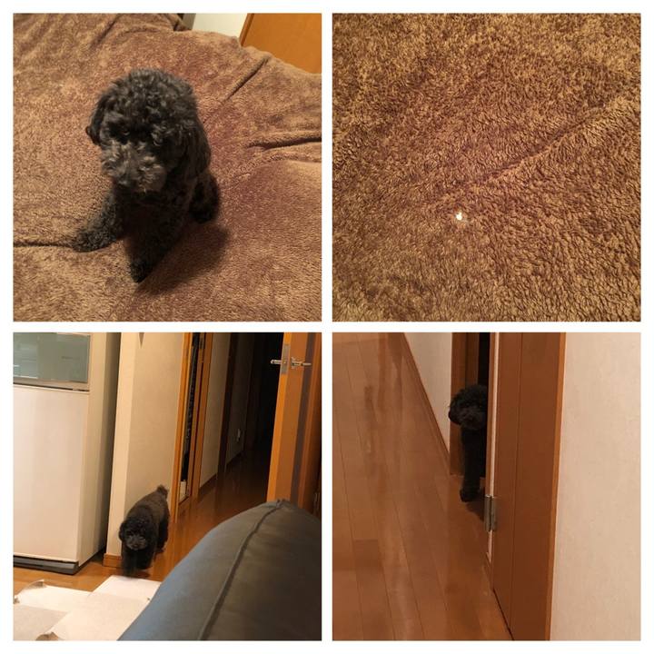 06fb4ca5 465e 42fe 88af 3f423bbca806 1584448273133