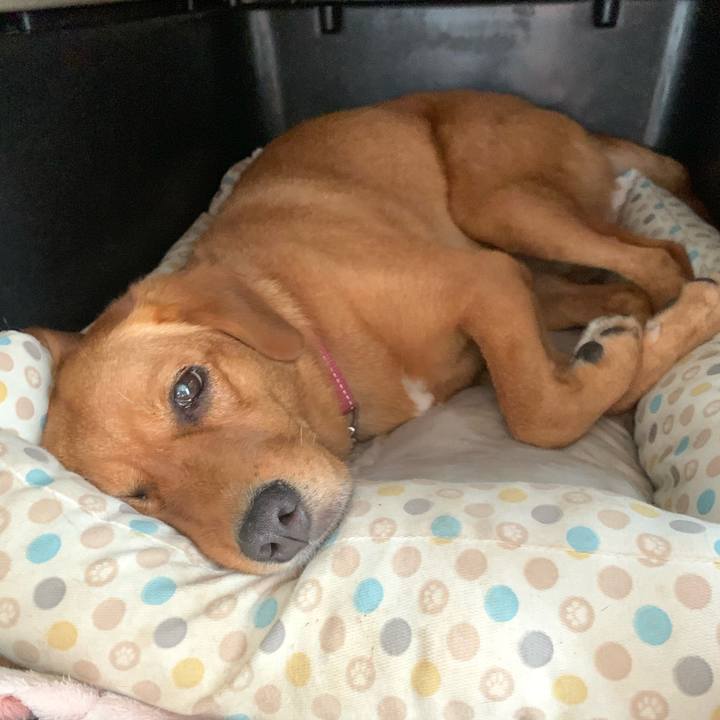 06fb5505 b399 4ff4 9c66 64137da9baa4 1567340094617