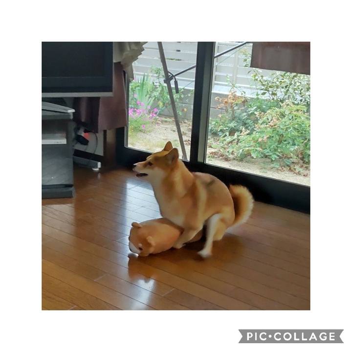 06fb5ff2 8496 4aee 8ca4 701348ec1ec4 1660521741780