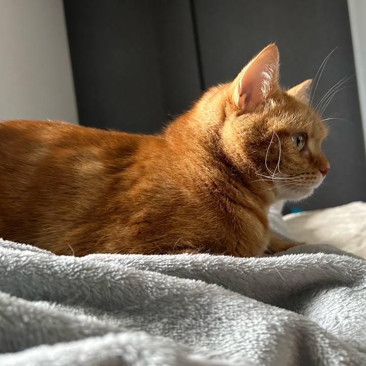 06fb9baf 7770 49d9 90ae 6ce064bf5656 1696723811473