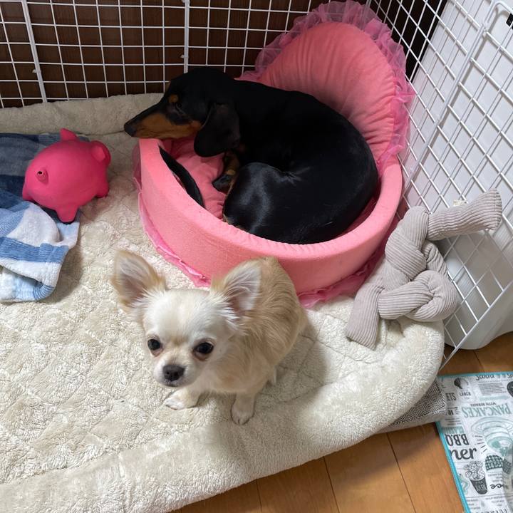 06fb9f28 e7bc 4f2f 8a1a 7eeed49c276e 1668430403297