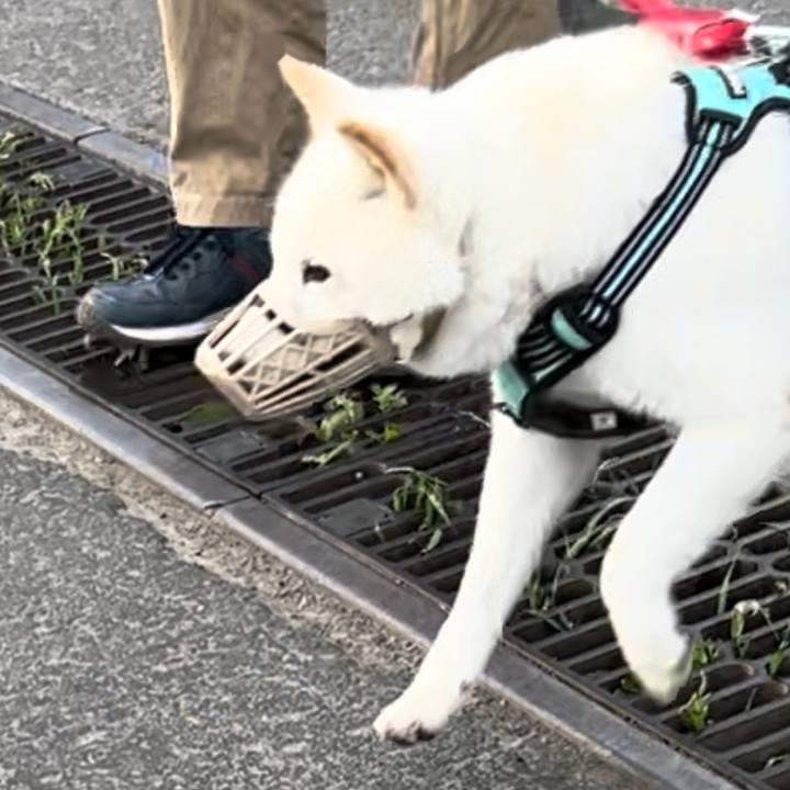 06fba262 2c14 4d95 ad96 ff0f8fb43e70 1685311323471