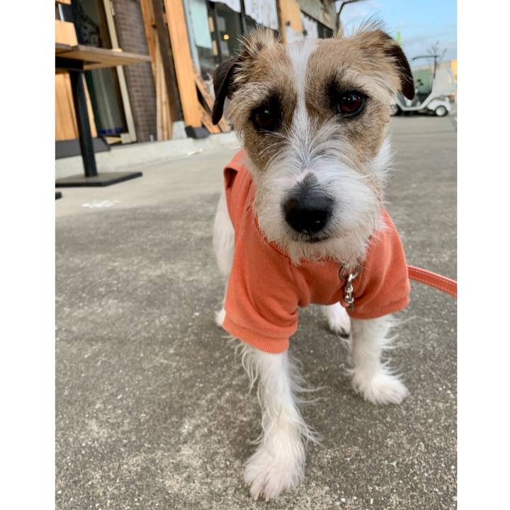 06fbe1ed 4b87 4fff b4ec 6e6907ef28cf 1617451214363