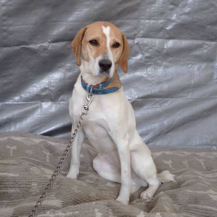 06fc0fa7 8848 425a 8a7f 45e9bc8c8f85 1616207103807