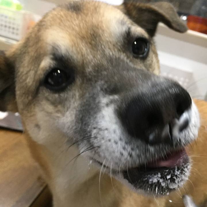 06fc1cb1 8cb8 4613 8004 b84189890ea6 1515407491097