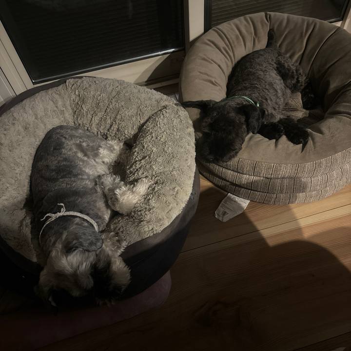 06fc54b2 64d3 420e 9d92 1e4e9096b0c1 1720354800021