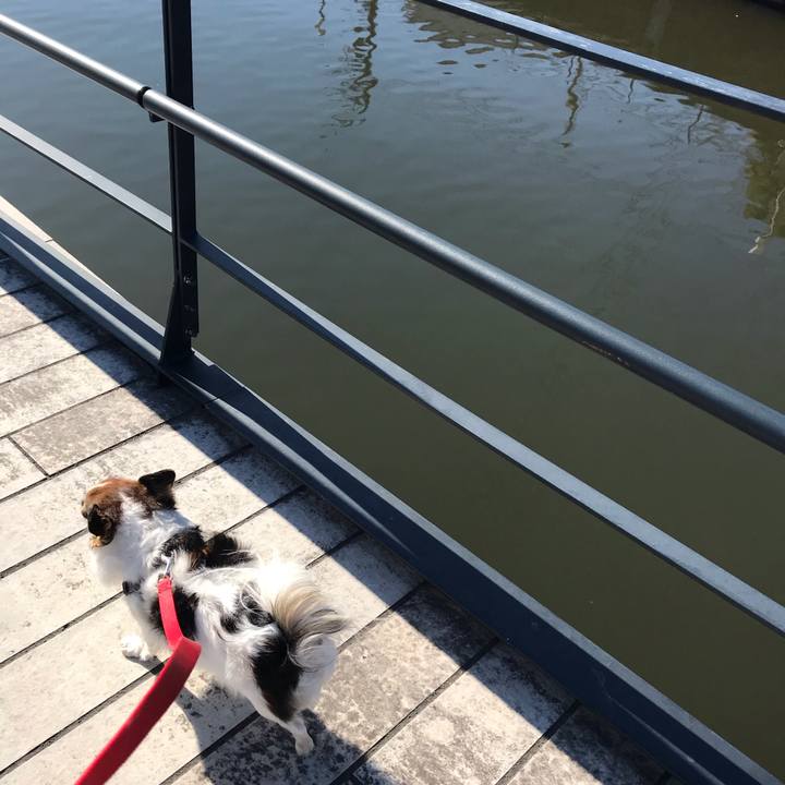 06fc5ef7 6a31 447b 985c cee39fe0b8af 1578541217265