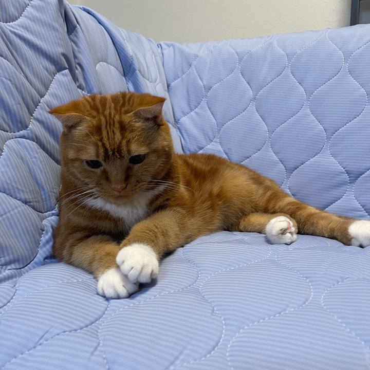 06fc6aca 82a1 4e69 921d d7e2f114f51b 1751203101398