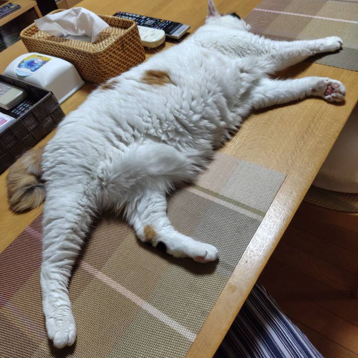 06fc8f2a 4ade 477e 85bb afdf3a8e05a4 1723212034052