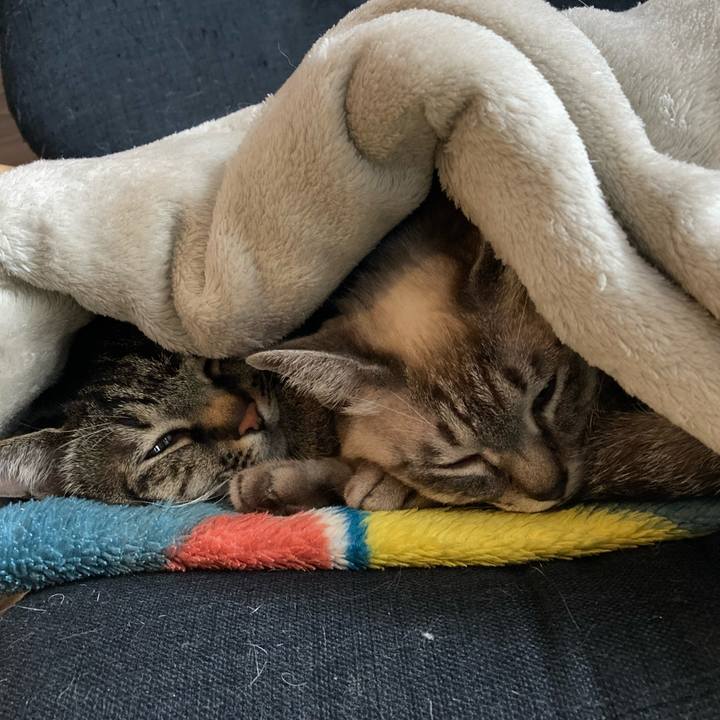 06fcac81 491d 4498 a1ef 4af0e59e6d43 1644485520815