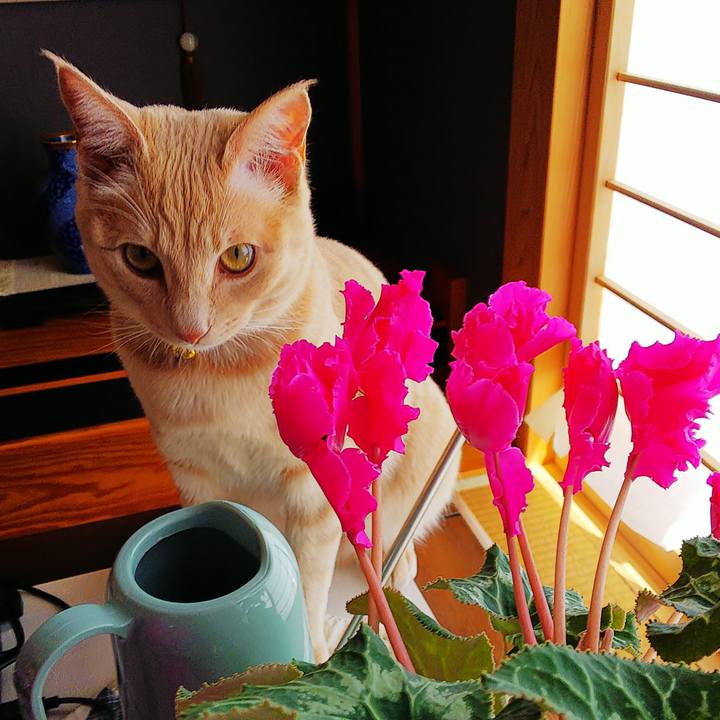 06fce381 7b4d 48a8 ac37 c87667615f88 1553318852457