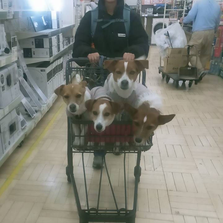 06fd208e d76e 4dca bb83 56d371565165 1770889738386