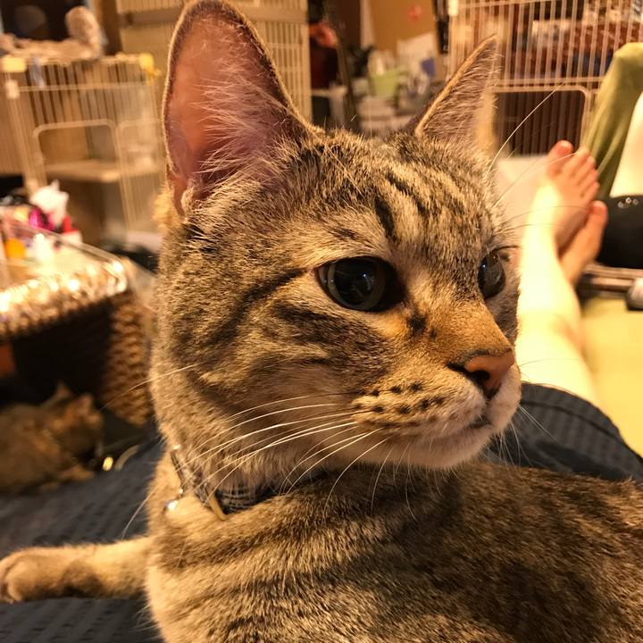 06fd3080 d9e4 4442 a414 1df1a1d81ec9 1566687850566