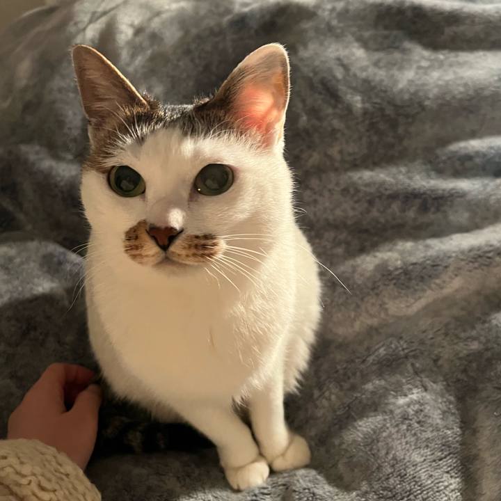 06fd3327 f6cd 42ac 818c ba4d926347b0 1676476525510