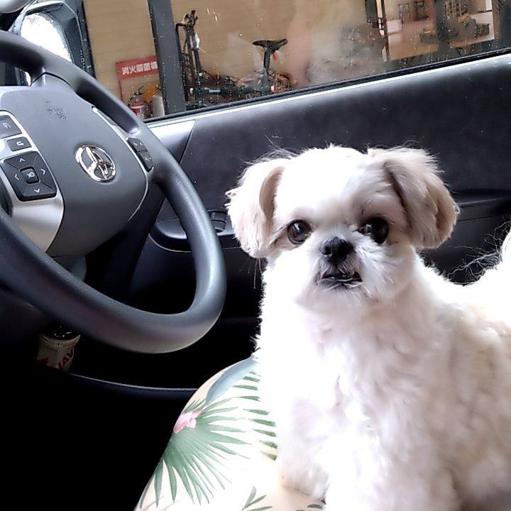 06fd5051 0b9f 4ad3 8648 25893932255e 1751537003624