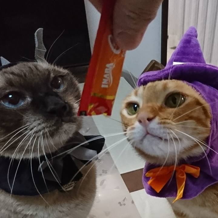 06fd570b e145 4ebe afef 38936b729b91 1509249740443