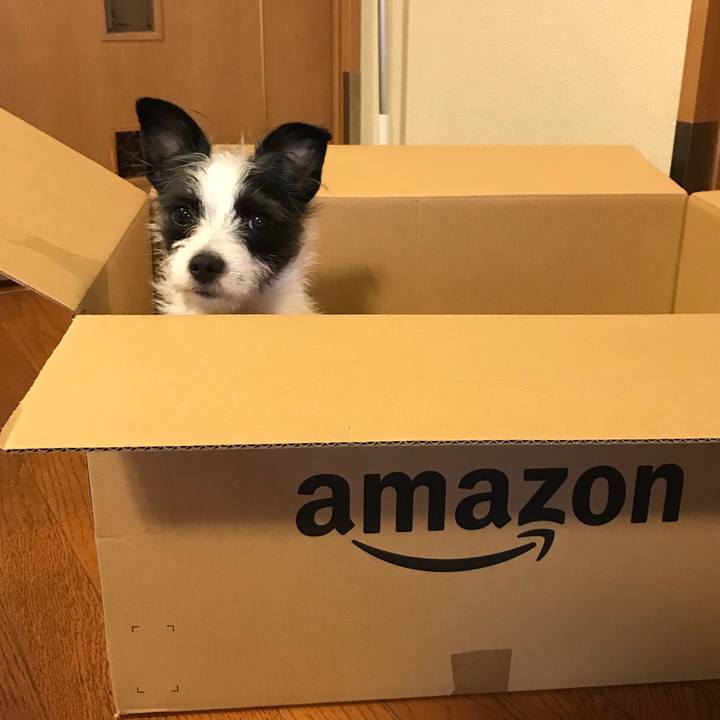 06fd8afd 58cc 4e6a 9b9a e6405d30469a 1523155810444