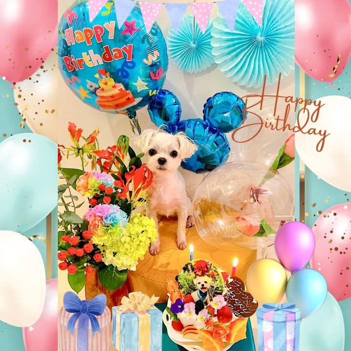 06fdcf8b adf2 4d4d bb6b 136eadadcf7d 1682660625983