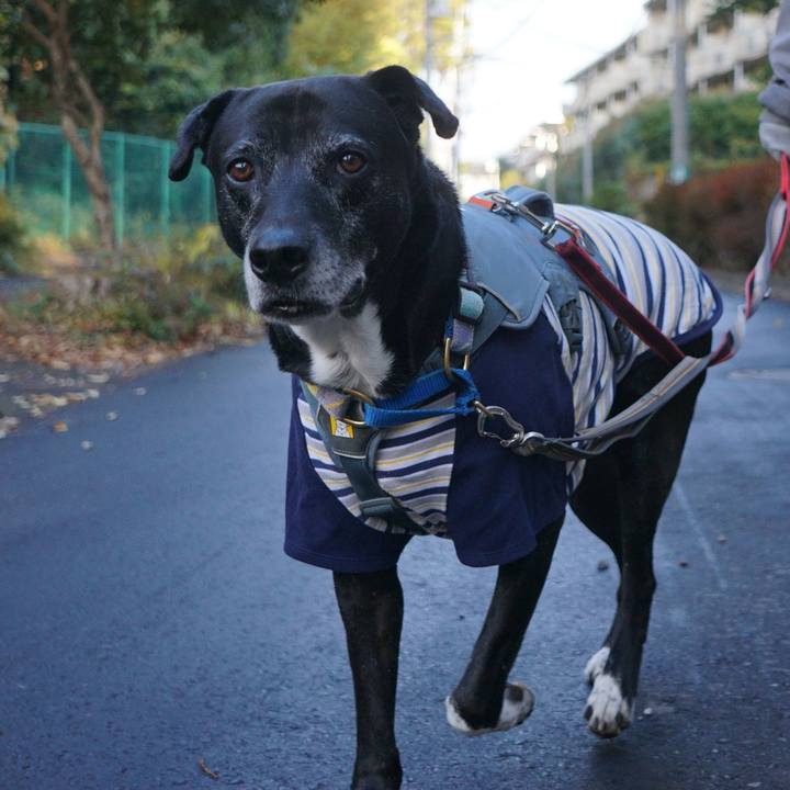 06fdcf8c 946e 4238 a13a 1136bc209a49 1763865215498