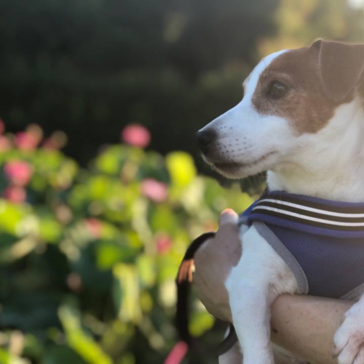 06fde13b b451 4543 9533 f11303126495 1721777296322